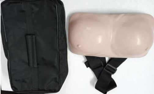 BREAST EXAMINATION Model Silicon