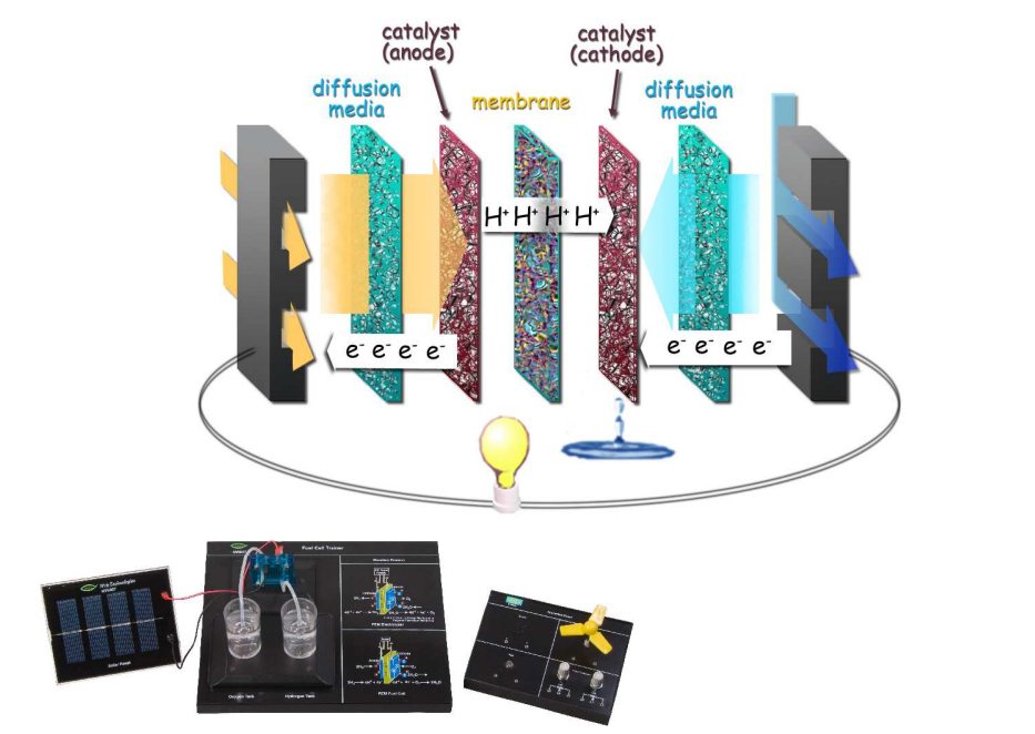 Experimentation with Fuel Cell