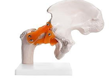 HIP JOINT PVC RUBBER