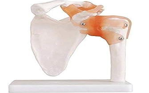 SHOULDER JOINT PVC RUBBER