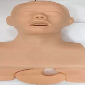 Trachea Intubation Training Model IMPORTED