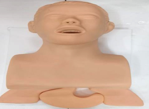 Trachea Intubation Training Model IMPORTED