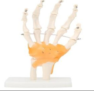 WRIST JOINT PVC RUBBER