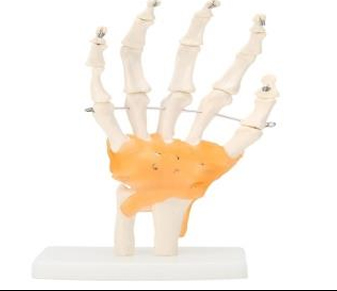 WRIST JOINT PVC RUBBER