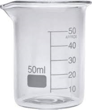 Beaker (50mL)