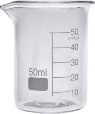 Beaker(50 ML)