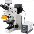 Fluorescent Research Microscope