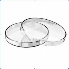Plastic Petri Dish