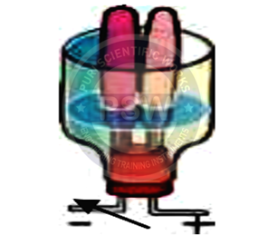 Stainless Steel Electrode With Cork