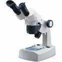 Stereoscopic Microscope