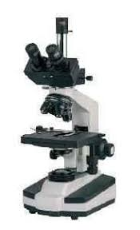 Trinocular Research Microscope