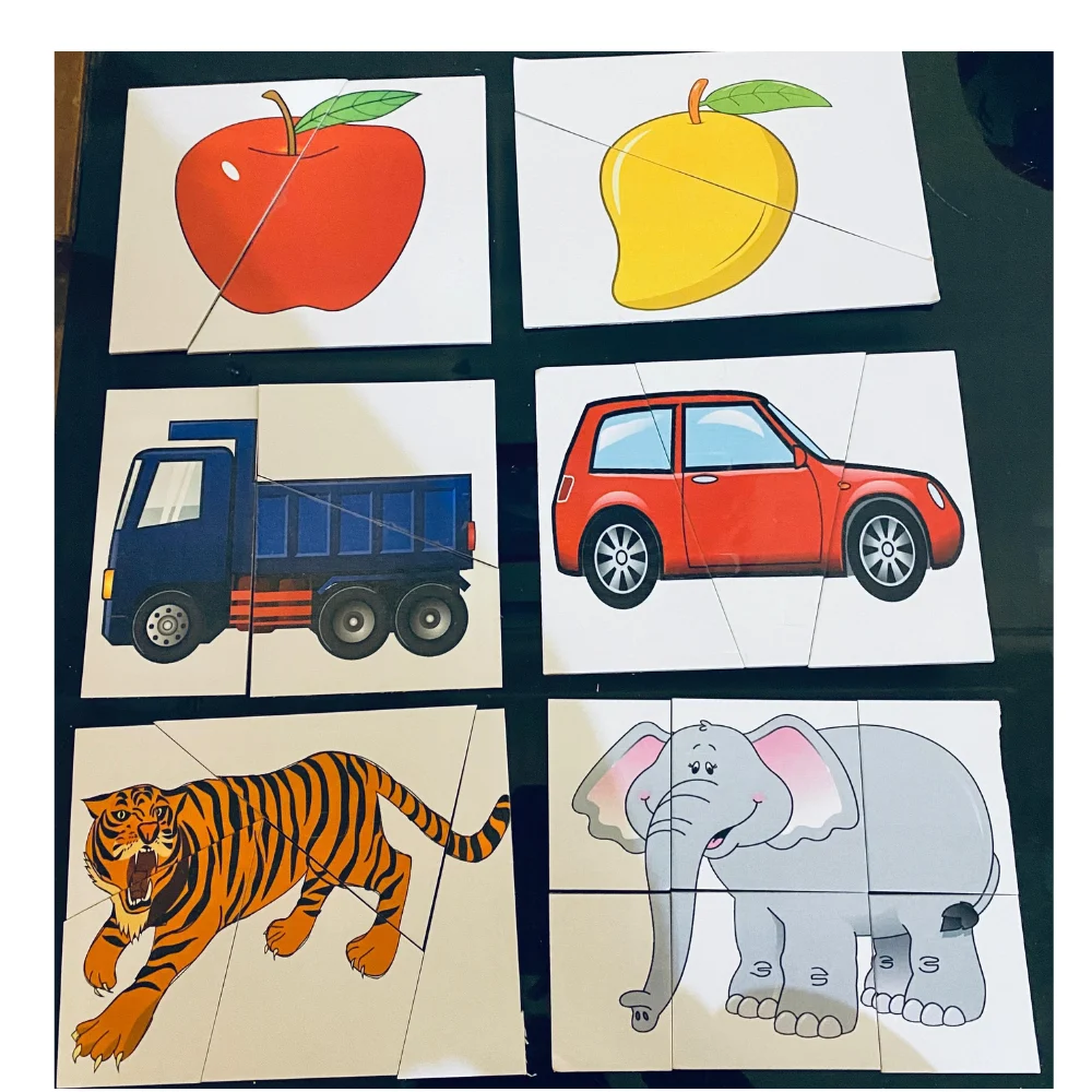 Laminated CardBoard Puzzles of 2,3,5 and 6 Piece Ncert jadui Jaadui Pitara kitPart A